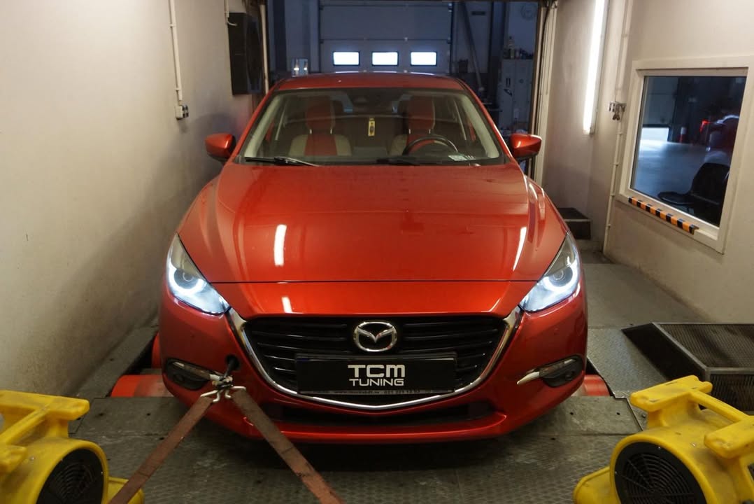 TCM Tuning - engine software optimization