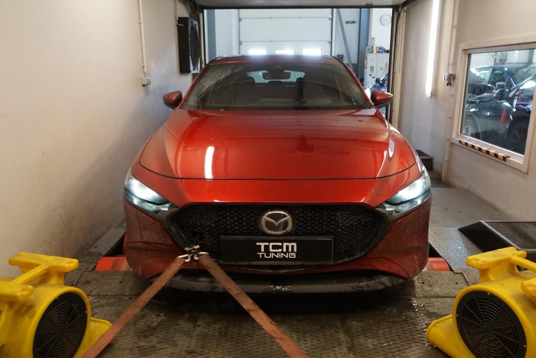 TCM Tuning - engine software optimization