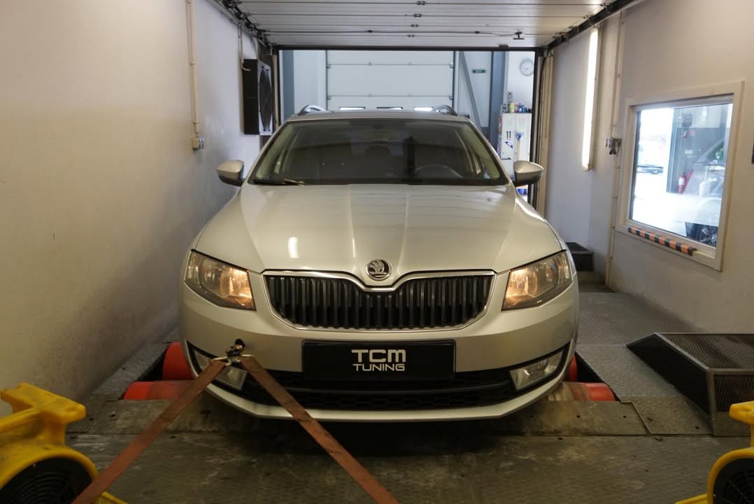 TCM Tuning - engine software optimization