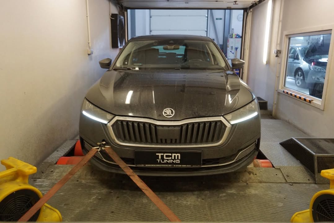 TCM Tuning - engine software optimization