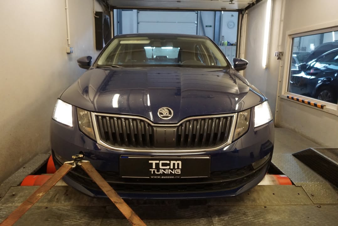 TCM Tuning - engine software optimization